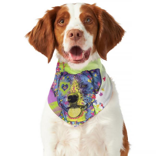 Hunde Bandana "Tayra"